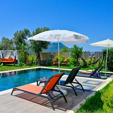 Aura Luxury-modern Stylish For 6 Peeople